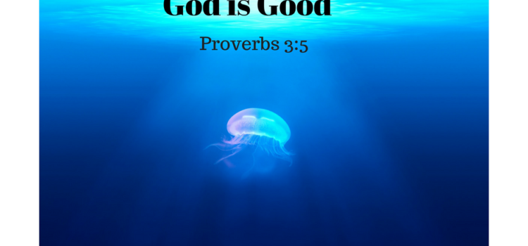 God is Good. Proverbs 3:5