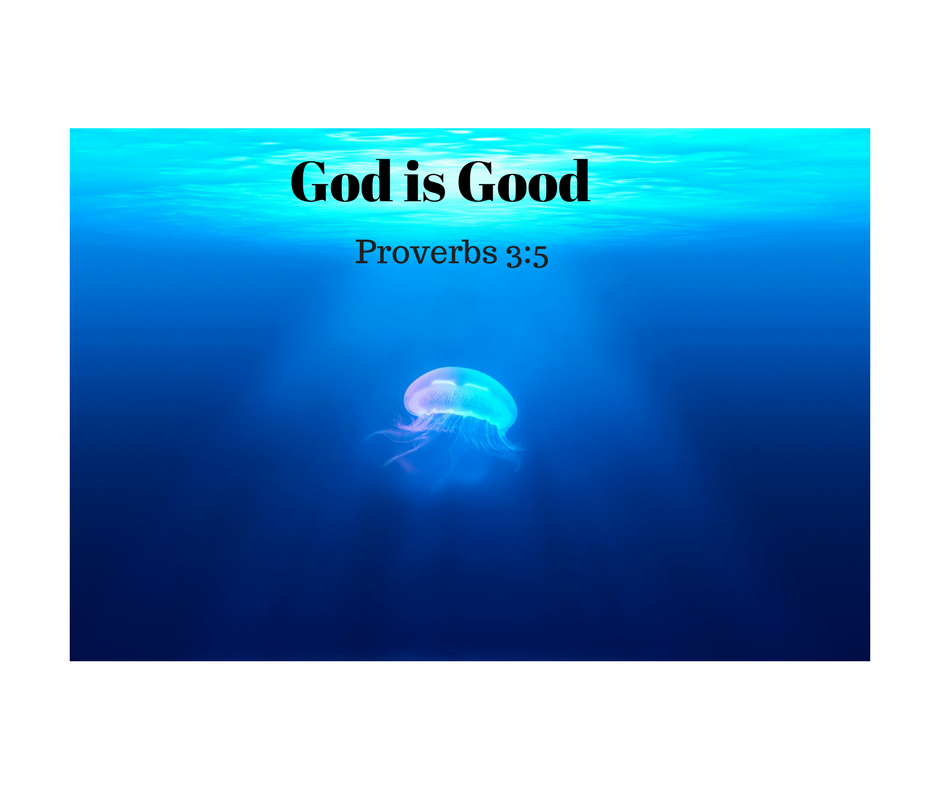 God Is Good, Proverbs 3:5 Trust in the Lord with all thine heart;