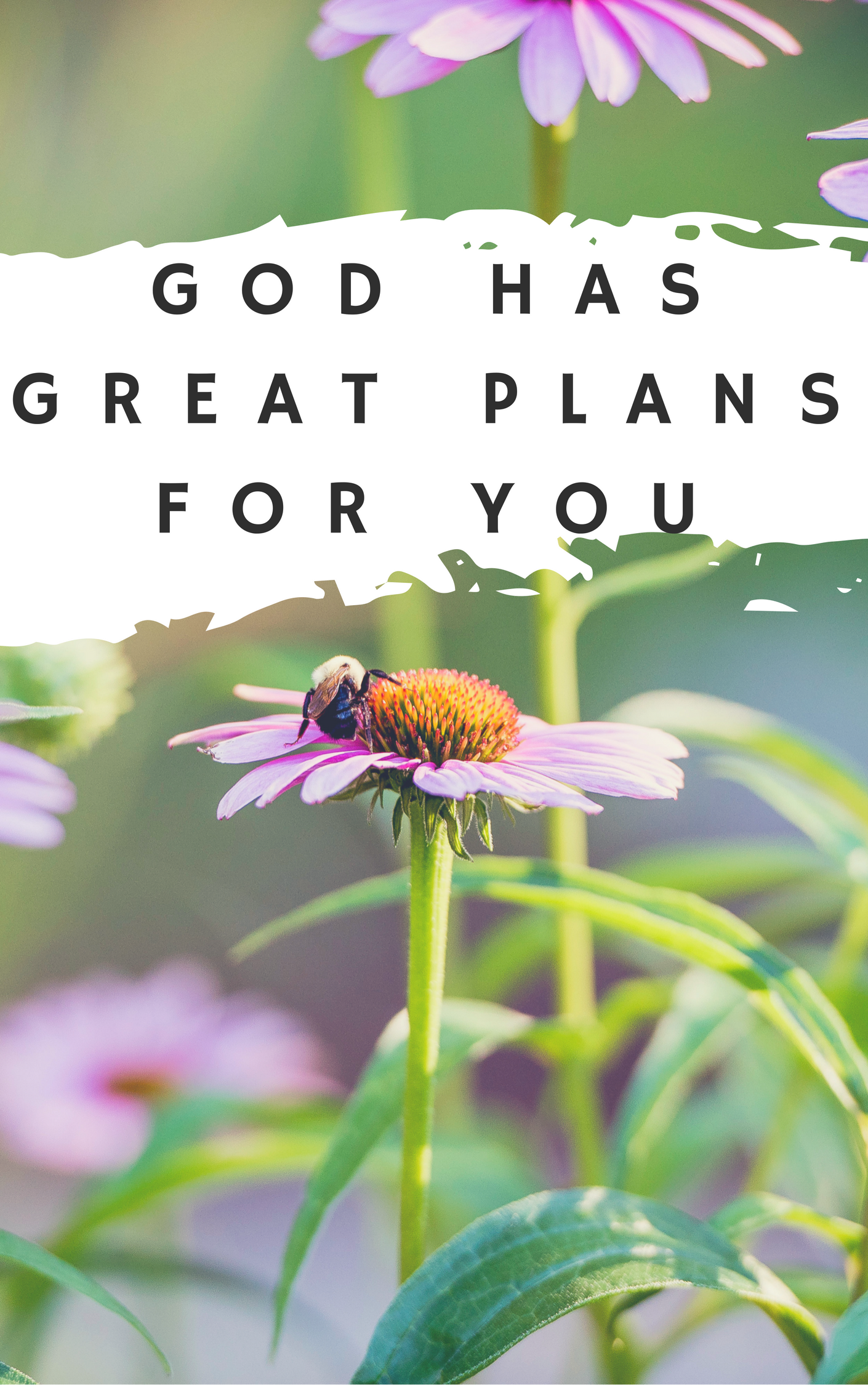 Free Printable Christian Cards for all occasions